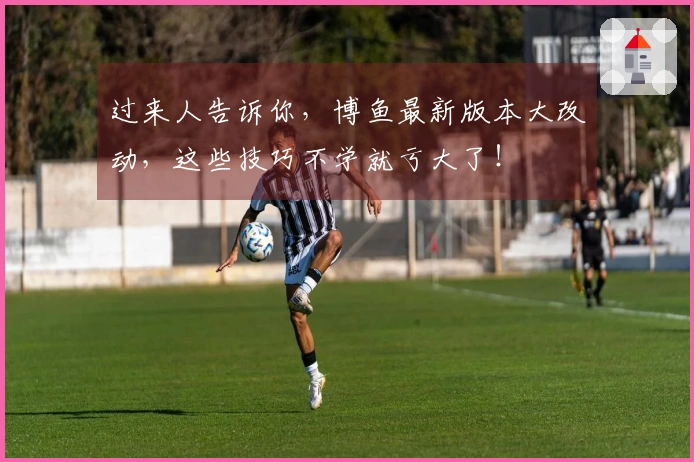 过来人告诉你,博鱼最新版本大改动,这些技巧不学就亏大了!